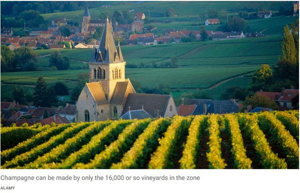 Champagne set to expand its horizons - By Adam Sage, The Times