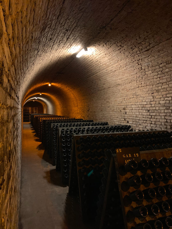 champagne wine cellar