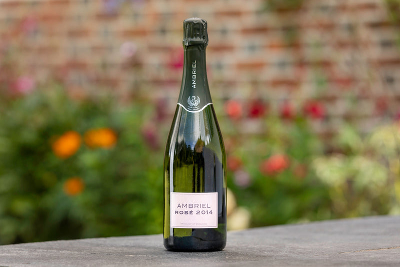Ambriel Rose 2014